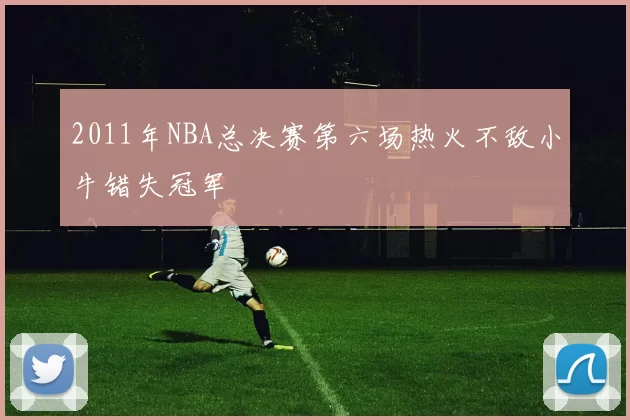 2011年NBA总决赛第六场热火不敌小牛错失冠军