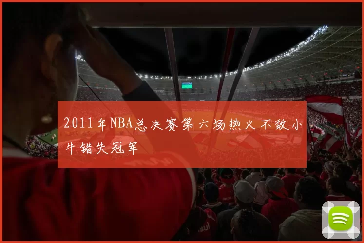 2011年NBA总决赛第六场热火不敌小牛错失冠军