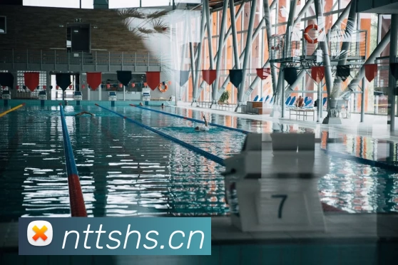 滚球官网app服务体系